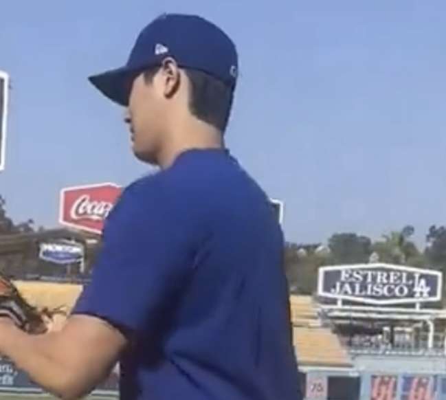 《大谷翔平「25億円ハワイ別荘」広告消滅騒動》販売会社の担当者が購入希望者に語っていた“消えた理由”と“営業トーク”「土地を買えば、大谷選手と食事できますよ！」