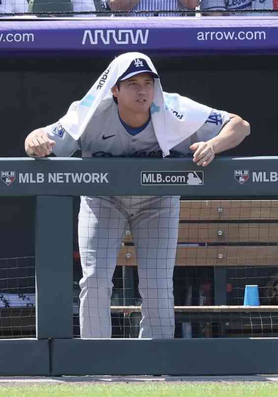 《大谷翔平「25億円ハワイ別荘」広告消滅騒動》販売会社の担当者が購入希望者に語っていた“消えた理由”と“営業トーク”「土地を買えば、大谷選手と食事できますよ！」