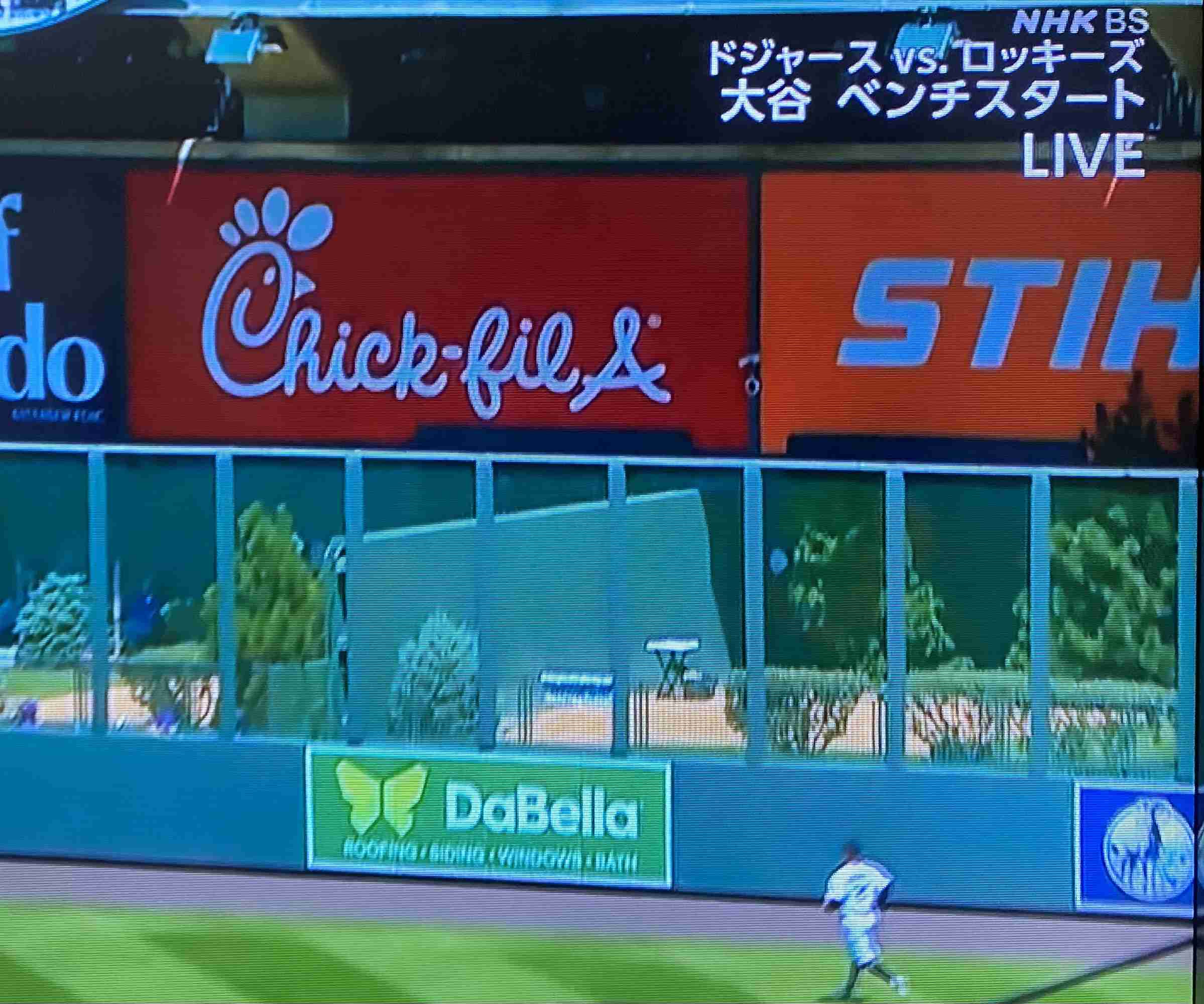 《大谷翔平「25億円ハワイ別荘」広告消滅騒動》販売会社の担当者が購入希望者に語っていた“消えた理由”と“営業トーク”「土地を買えば、大谷選手と食事できますよ！」