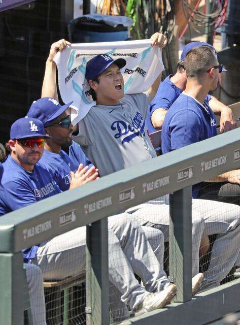 《大谷翔平「25億円ハワイ別荘」広告消滅騒動》販売会社の担当者が購入希望者に語っていた“消えた理由”と“営業トーク”「土地を買えば、大谷選手と食事できますよ！」