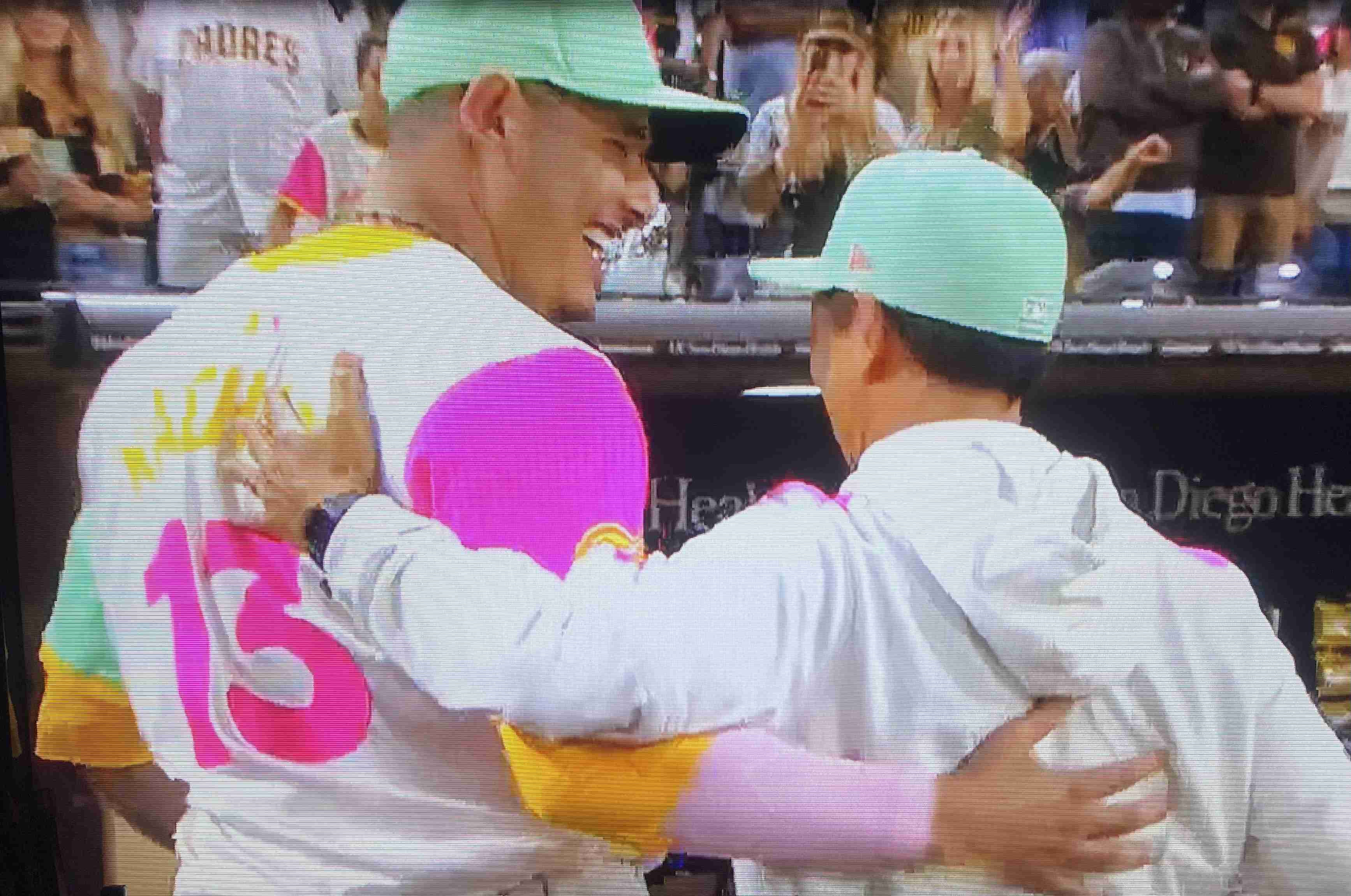 《大谷翔平「25億円ハワイ別荘」広告消滅騒動》販売会社の担当者が購入希望者に語っていた“消えた理由”と“営業トーク”「土地を買えば、大谷選手と食事できますよ！」