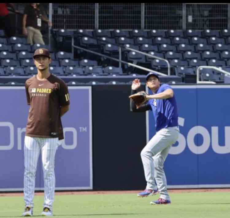 《大谷翔平「25億円ハワイ別荘」広告消滅騒動》販売会社の担当者が購入希望者に語っていた“消えた理由”と“営業トーク”「土地を買えば、大谷選手と食事できますよ！」