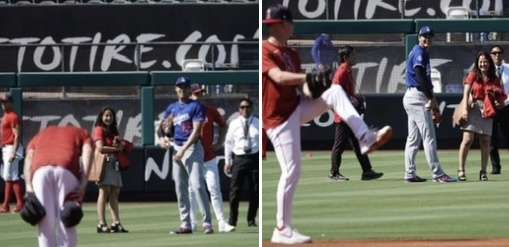 《大谷翔平「25億円ハワイ別荘」広告消滅騒動》販売会社の担当者が購入希望者に語っていた“消えた理由”と“営業トーク”「土地を買えば、大谷選手と食事できますよ！」