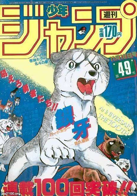 お色気要素がなくて面白い少年漫画って存在しますか?