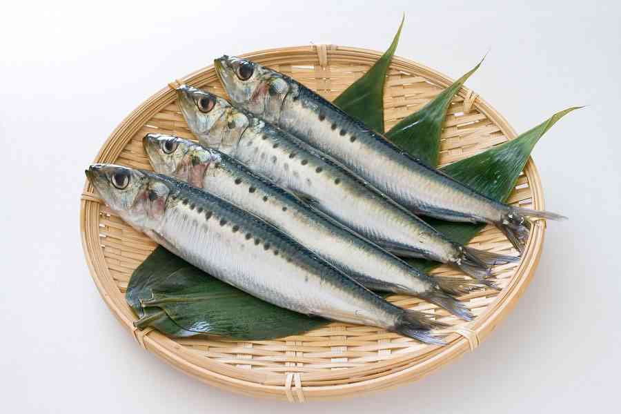 SHISHAMO、来年6月で活動終了を発表 完結は地元・等々力陸上競技場で2DAYS 経緯・心境を記す【全文】