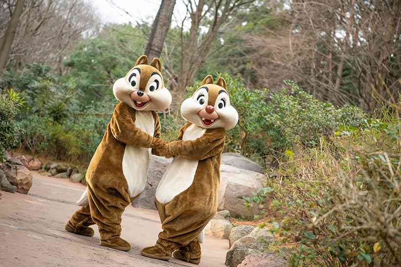 東京ディズニーランド・ディズニーシーで会いたいキャラ