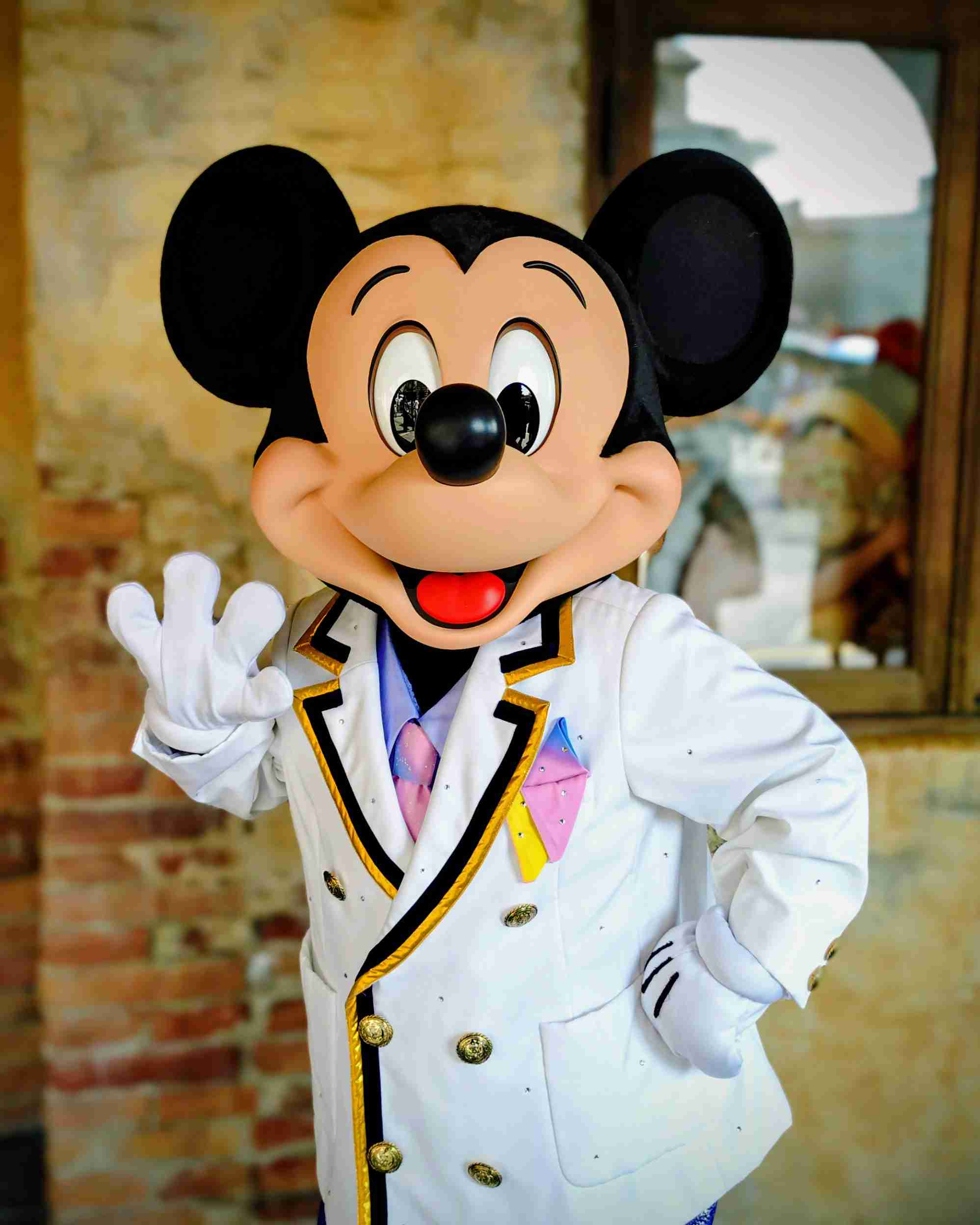 東京ディズニーランド・ディズニーシーで会いたいキャラ