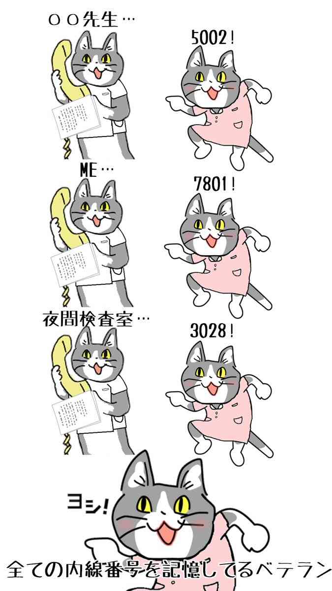 優しい先輩の思い出