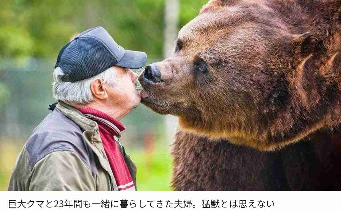 変わったのはクマか人か…「ヒグマの人慣れ」“共生最前線”知床で深刻化 “エサやり”・“クマ待ち”　問われる人間のモラル　8月には世界遺産登録後初の死亡事故も【news23】