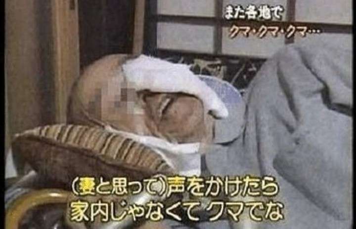 変わったのはクマか人か…「ヒグマの人慣れ」“共生最前線”知床で深刻化 “エサやり”・“クマ待ち”　問われる人間のモラル　8月には世界遺産登録後初の死亡事故も【news23】