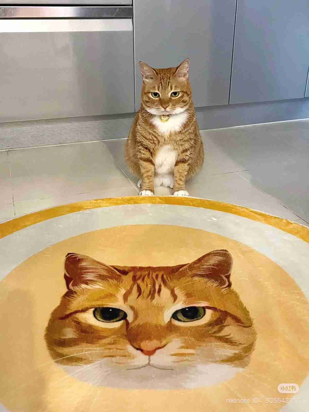 1日1食の方