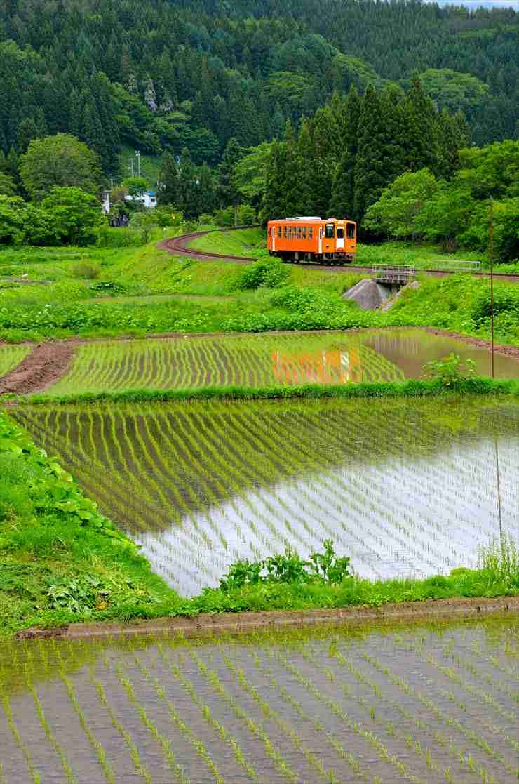 日本に生まれてよかったと思えるとき【ポジティブ】