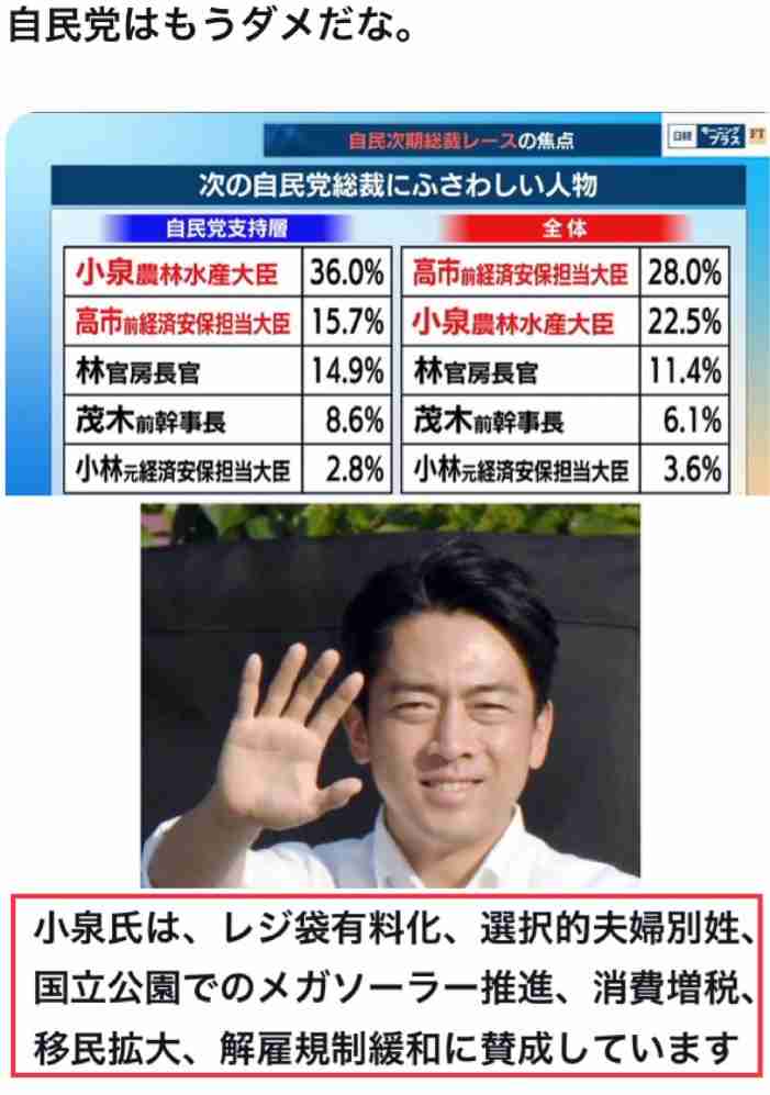 「日本のために政治家引退してくれ」若者層に人気の小泉進次郎　TikTok初投稿も…コメント欄大荒れのまさか
