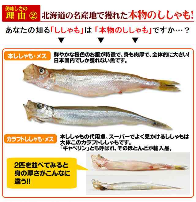 本物を味わったことがあるもの／こと