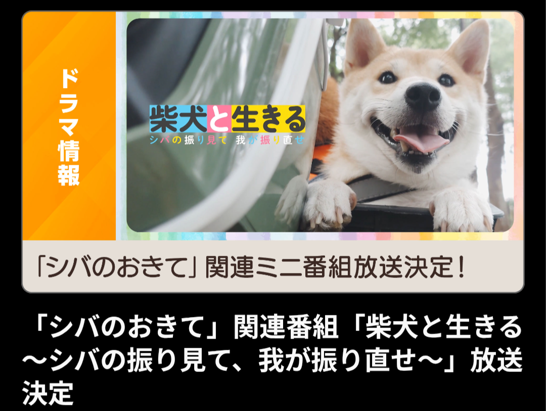【実況・感想】【ドラマ10】シバのおきて〜われら犬バカ編集部〜（1）