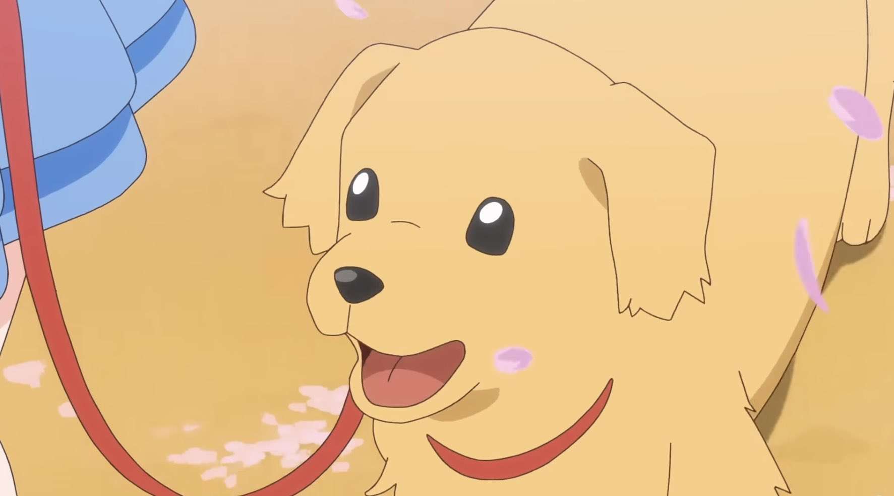 【実況・感想】【ドラマ10】シバのおきて〜われら犬バカ編集部〜（1）