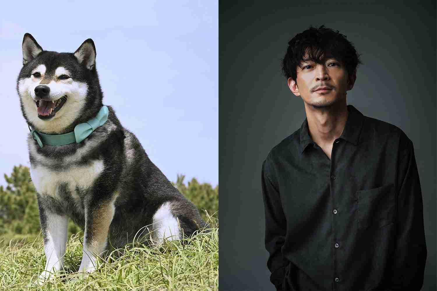 【実況・感想】【ドラマ10】シバのおきて〜われら犬バカ編集部〜（1）