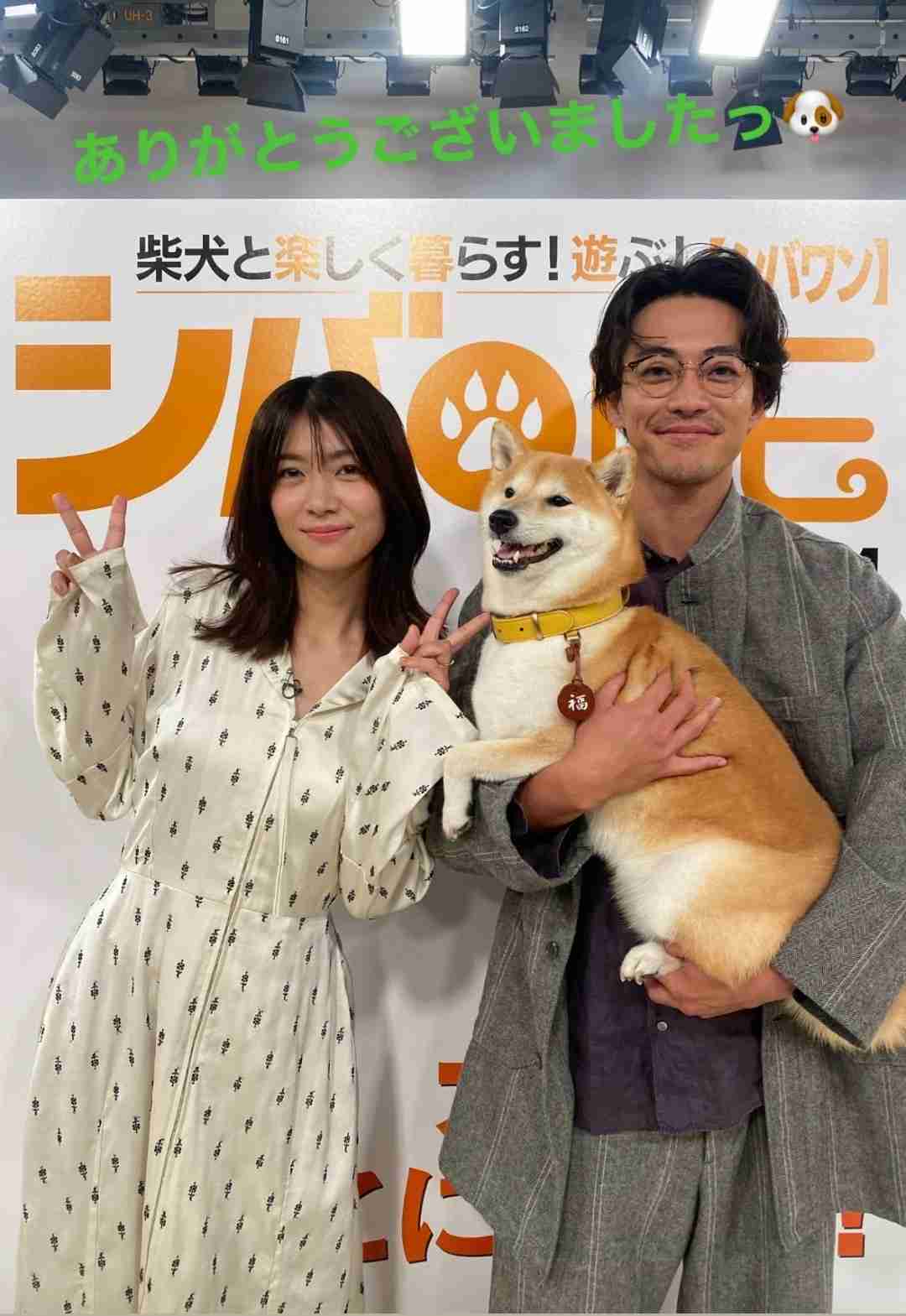 【実況・感想】【ドラマ10】シバのおきて〜われら犬バカ編集部〜（1）