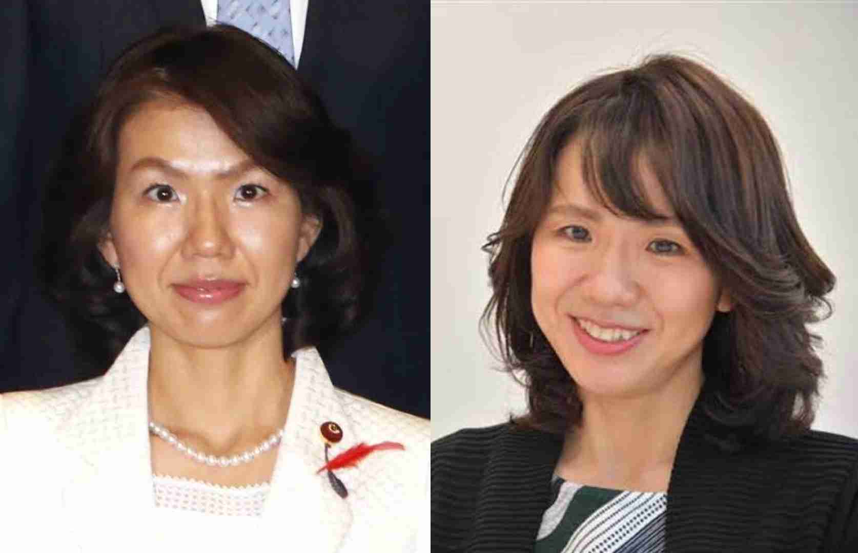 「このハゲーっ！」豊田真由子氏の政界復帰に疑問の声…暴行に触れず「まるで自分が被害者かのように…」陰謀論も吹き荒れるパワハラ騒動は何だったのか？
