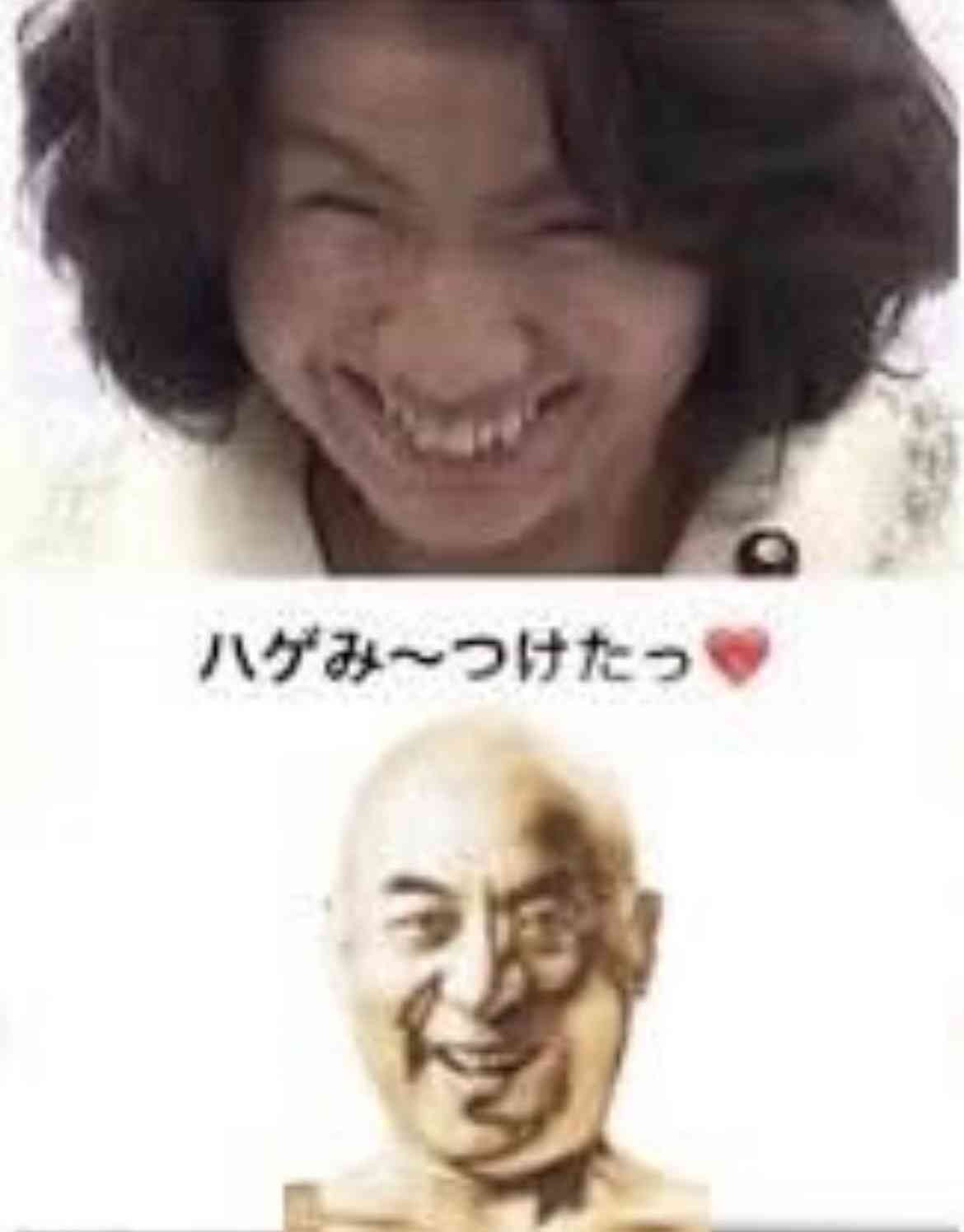「このハゲーっ！」豊田真由子氏の政界復帰に疑問の声…暴行に触れず「まるで自分が被害者かのように…」陰謀論も吹き荒れるパワハラ騒動は何だったのか？