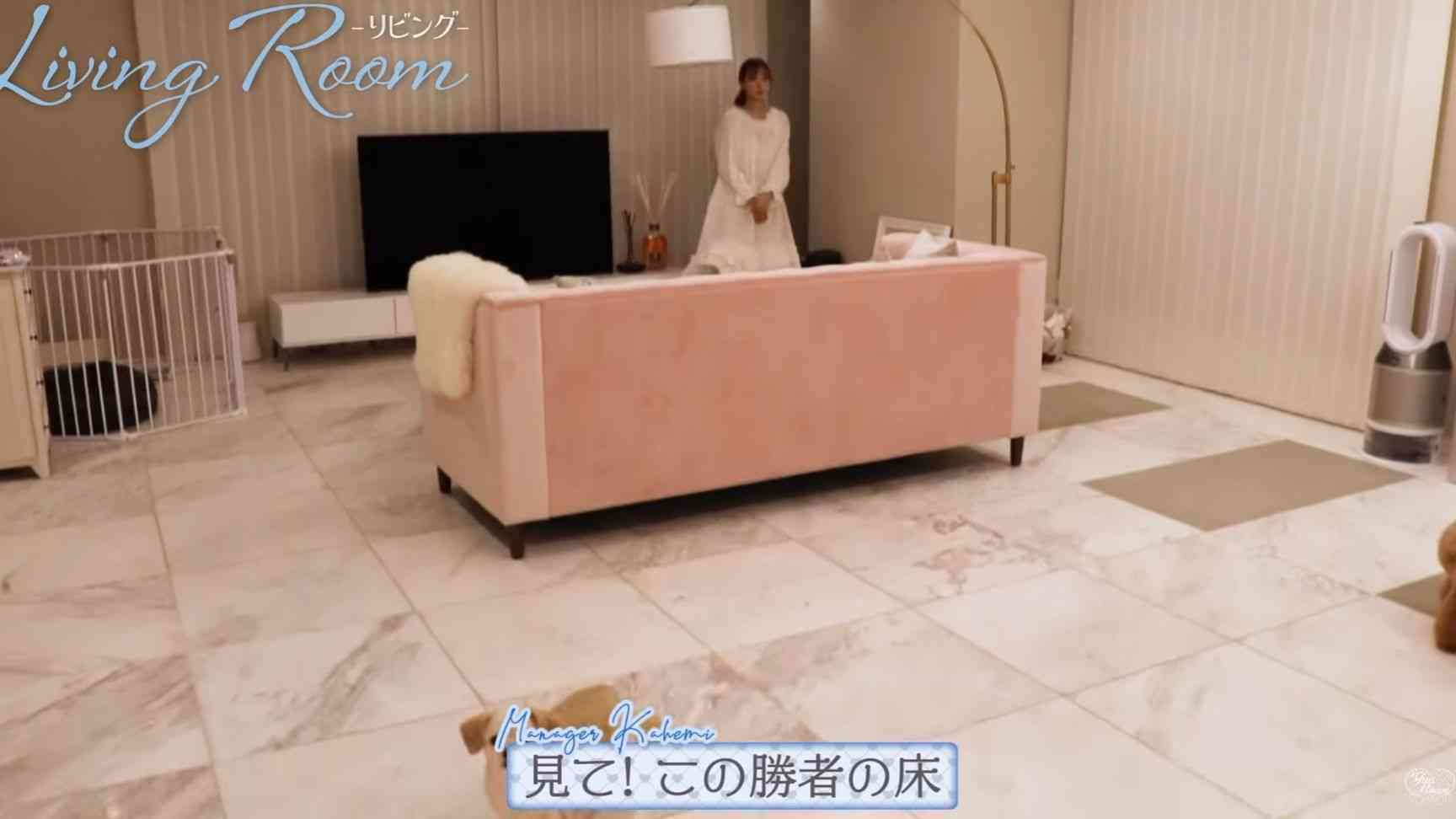 佐藤健が“ヤバすぎ”自宅を初公開、あまりの広さに「でけえww」「広すぎる」
