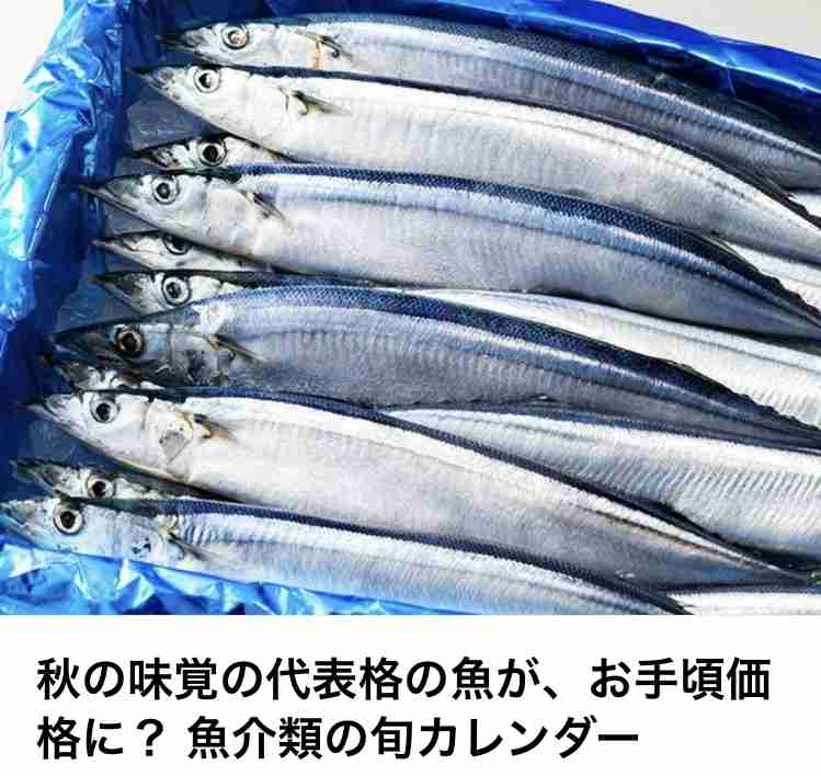 ZEE ZEE商事秋の社員旅行へ行こうぜぇ【スギちゃん雑談】【Part111】