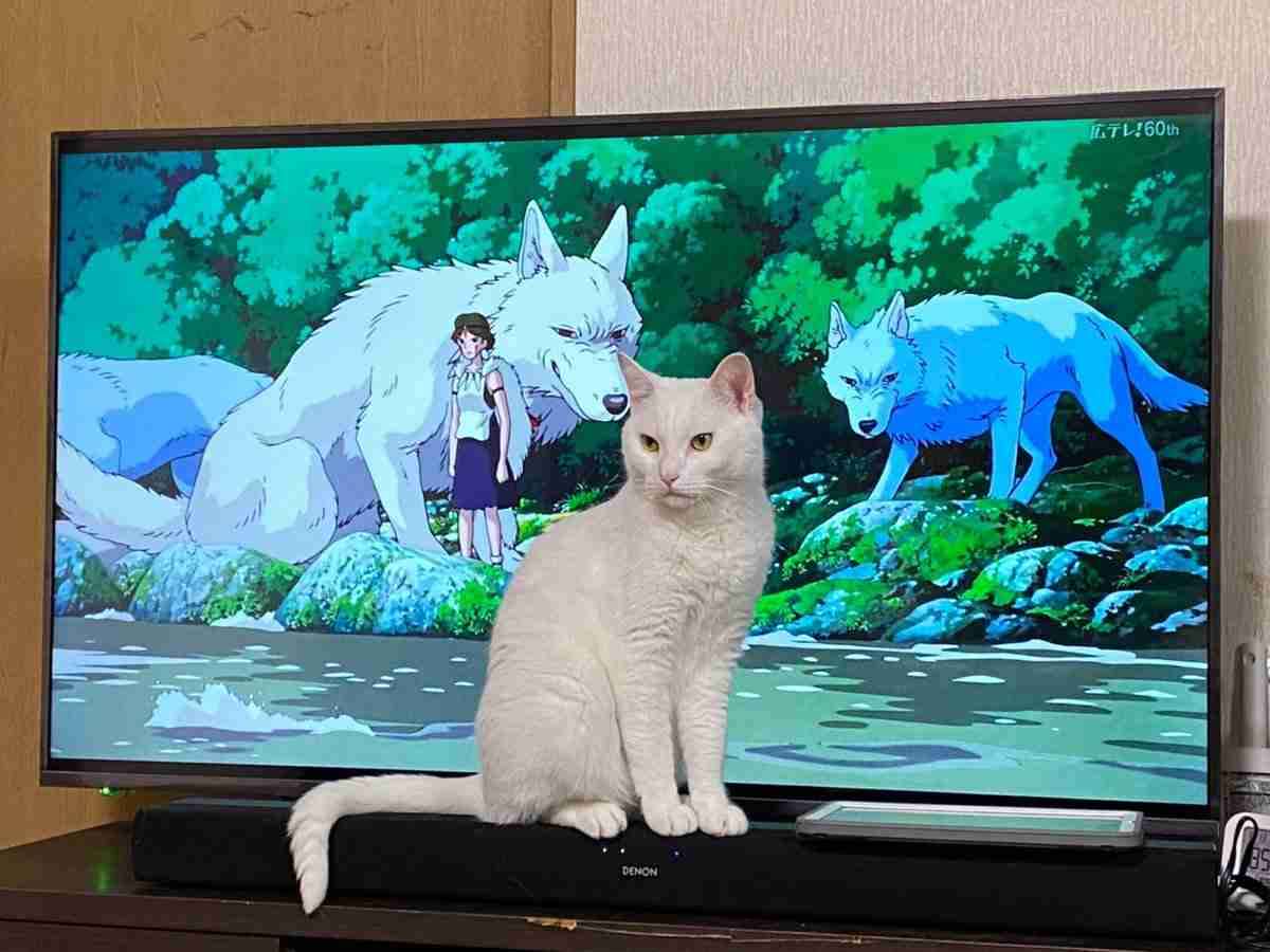 ZEE ZEE商事秋の社員旅行へ行こうぜぇ【スギちゃん雑談】【Part111】