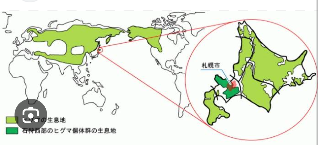 【追跡】登山者がクマに襲われ死亡　見過ごされた“予兆”　なぜ入山規制せず？　世界自然遺産・知床の苦悩