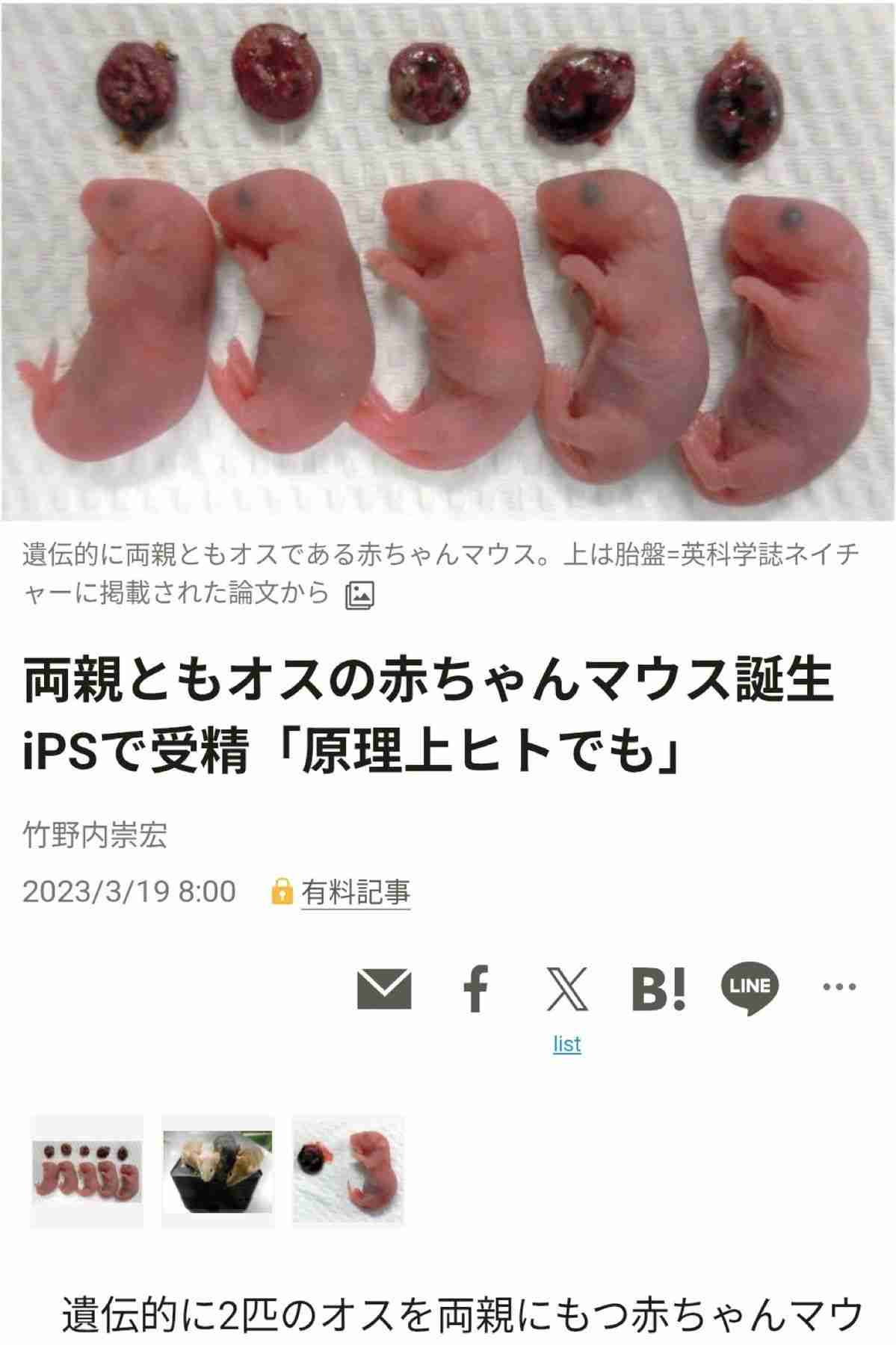 男が出産可能になったら起こりそうな社会現象
