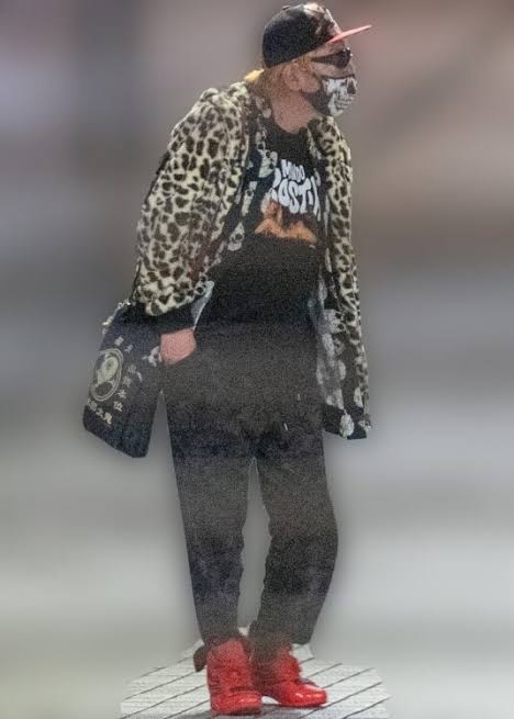 有名人の私服ダサいとオシャレな私服を交互に貼るトピ  Part4