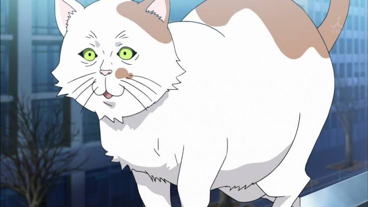 アニメのワンシーンを貼ると観たことある人が作品名を当ててくれるトピ　part4