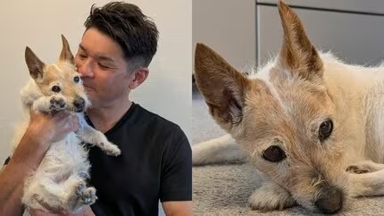 【ある意味安泰】知名度はあるけどガルちゃんで好かれも嫌われもしていない芸能人