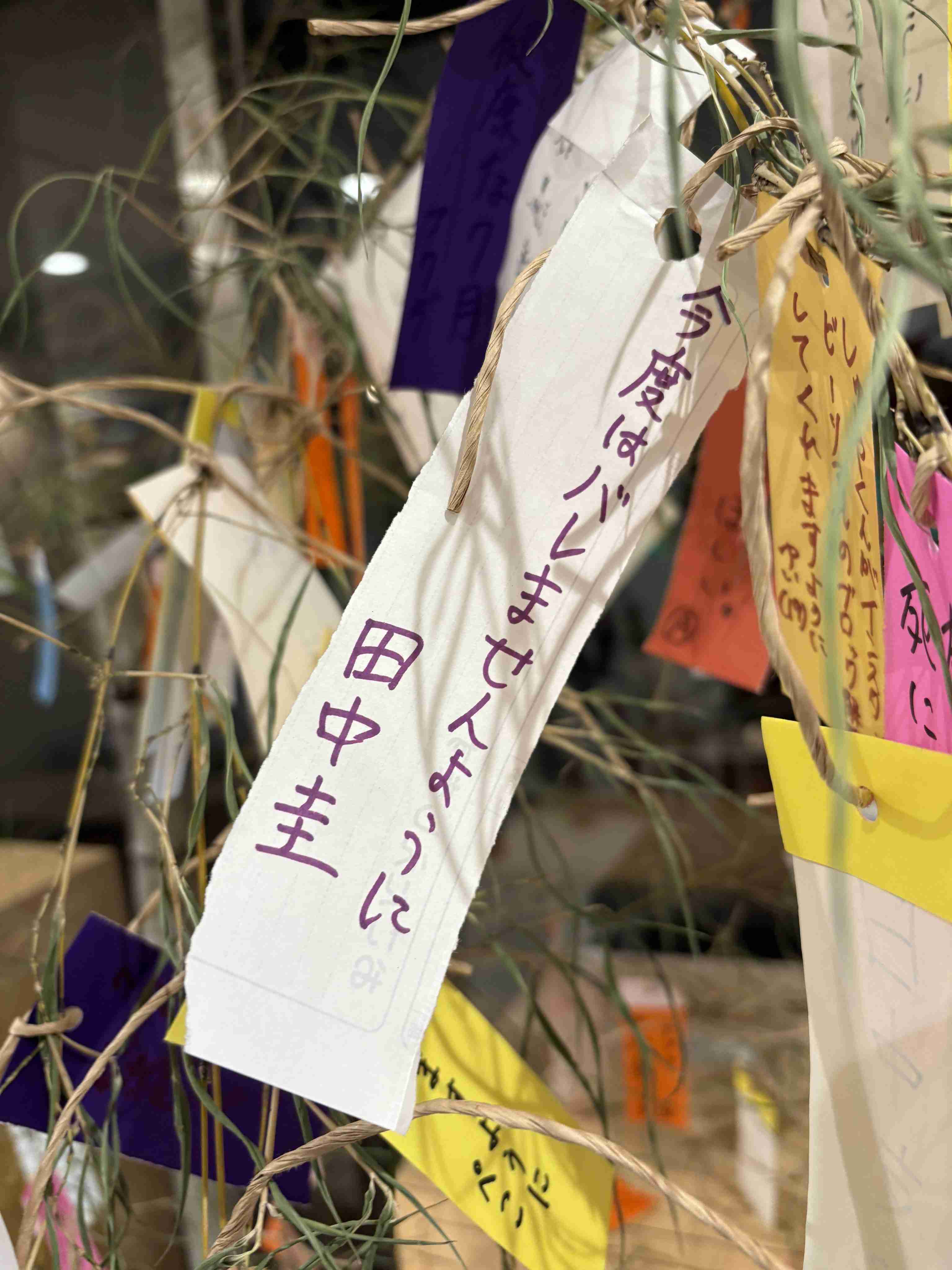 田中圭 2カ月間の海外“ギャンブル旅”で荒稼ぎ、不倫疑惑直後の“妻子置き去り疑惑”で強まる反感
