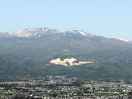 クマの市街地出没、SNSに目立つメガソーラー原因説「すみか奪ってる」「クマ被害増加」