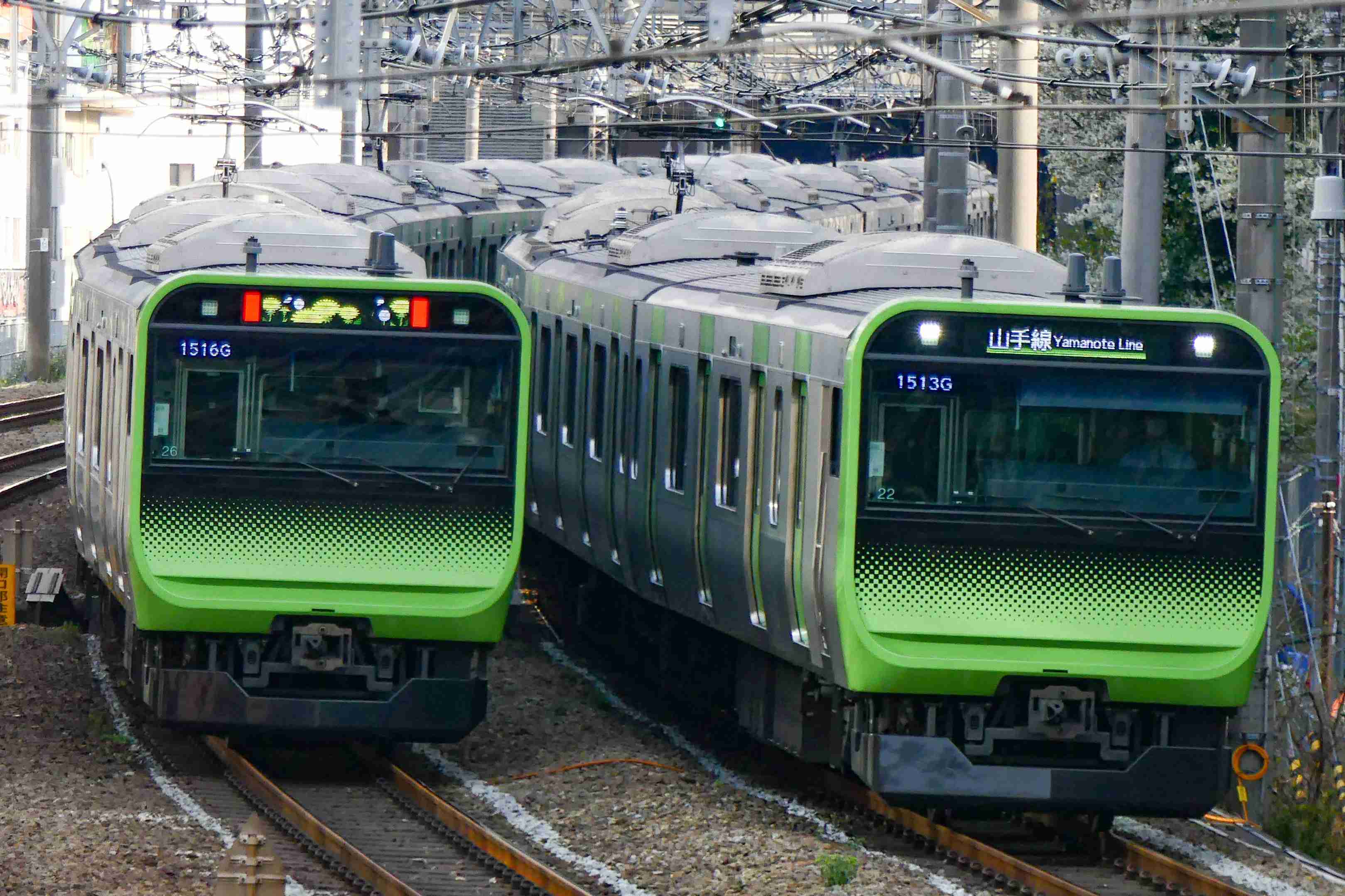 【東京都渋谷区】渋谷駅について知っていること