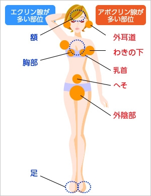 ワキガ手術について教えて