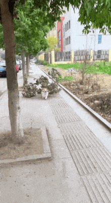 買い物に行くため玄関を開けると　→予想外の“来客”に「本当にこんな事あるの」「神様降臨」「動く気配すらない（笑）」