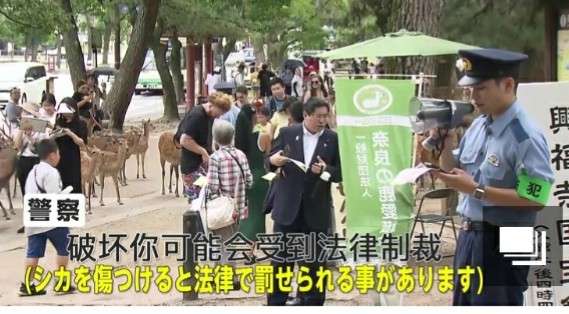 へずまりゅうが投稿した「中国人がシカを蹴った」動画、パクリだった　元投稿主は加害者が日本人と記載