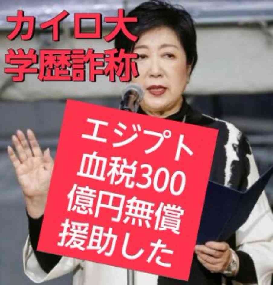 エジプトとの就労協力合意書「見直し考えず」 小池百合子都知事「移民促進の誤情報正す」