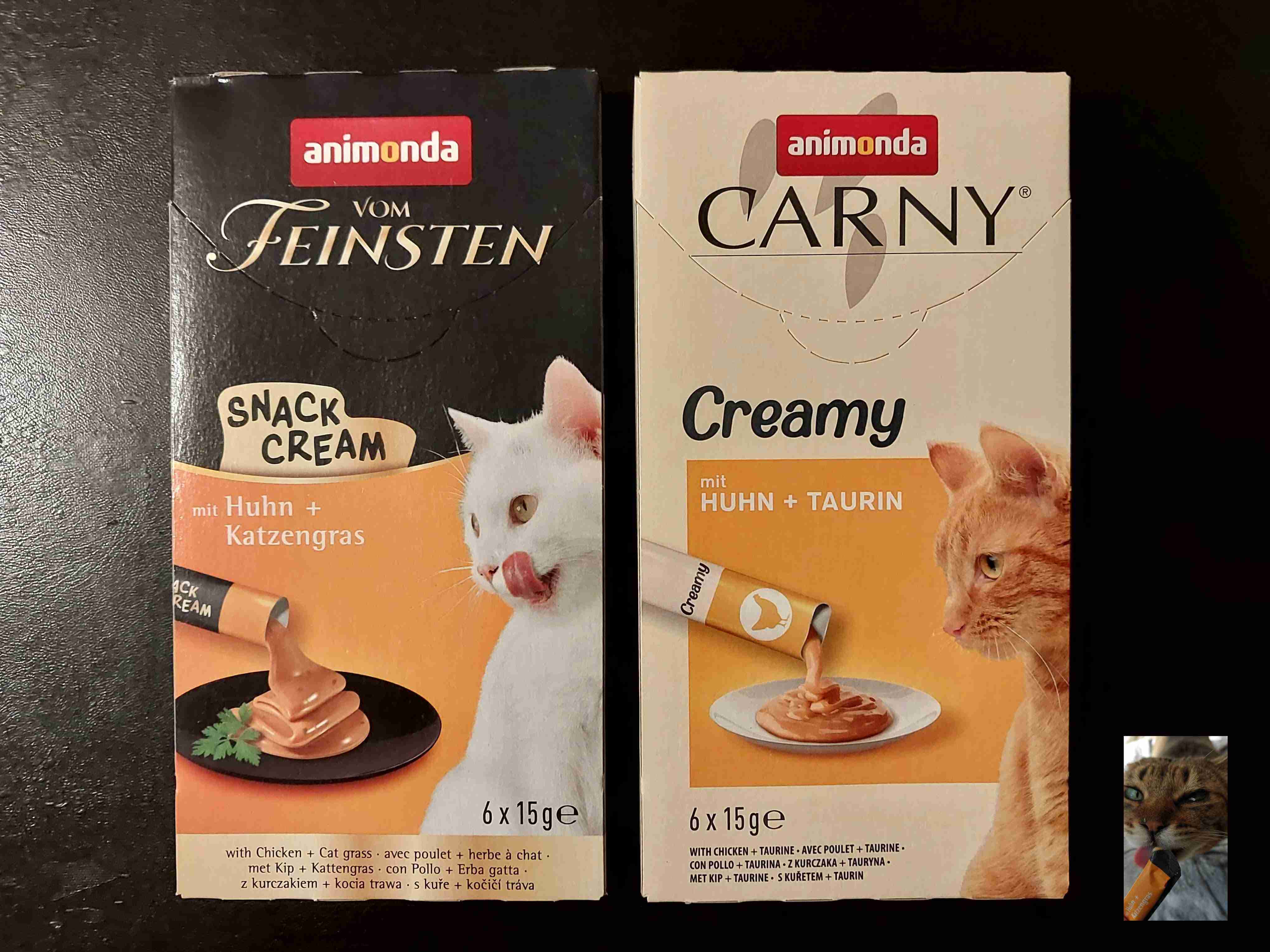 がるちゃん猫カフェ114号店開店しました♪(初めての方も大歓迎♪)