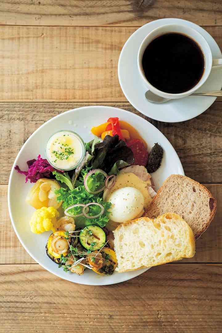 がるちゃん猫カフェ114号店開店しました♪(初めての方も大歓迎♪)