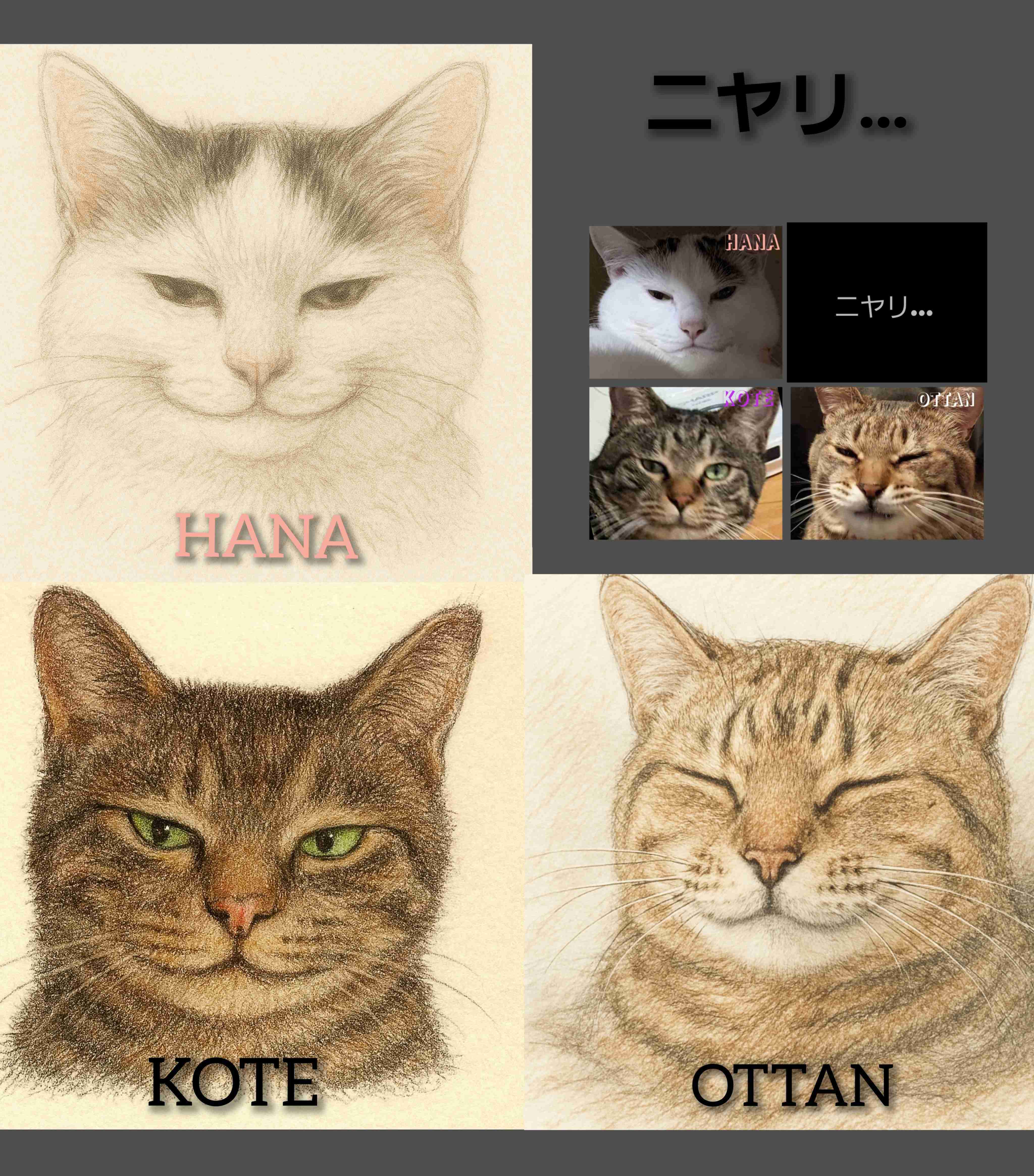 がるちゃん猫カフェ114号店開店しました♪(初めての方も大歓迎♪)