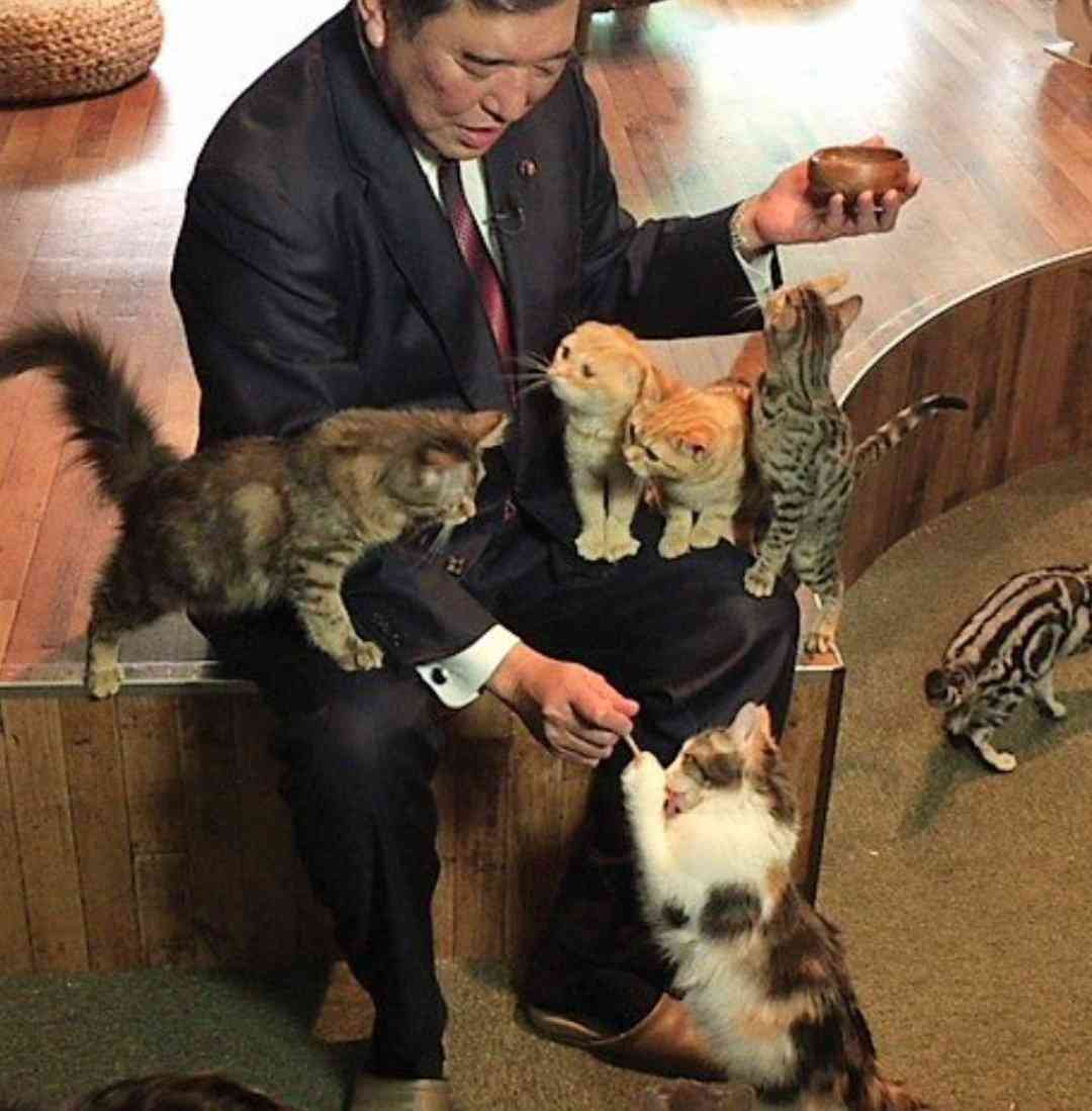 がるちゃん猫カフェ114号店開店しました♪(初めての方も大歓迎♪)