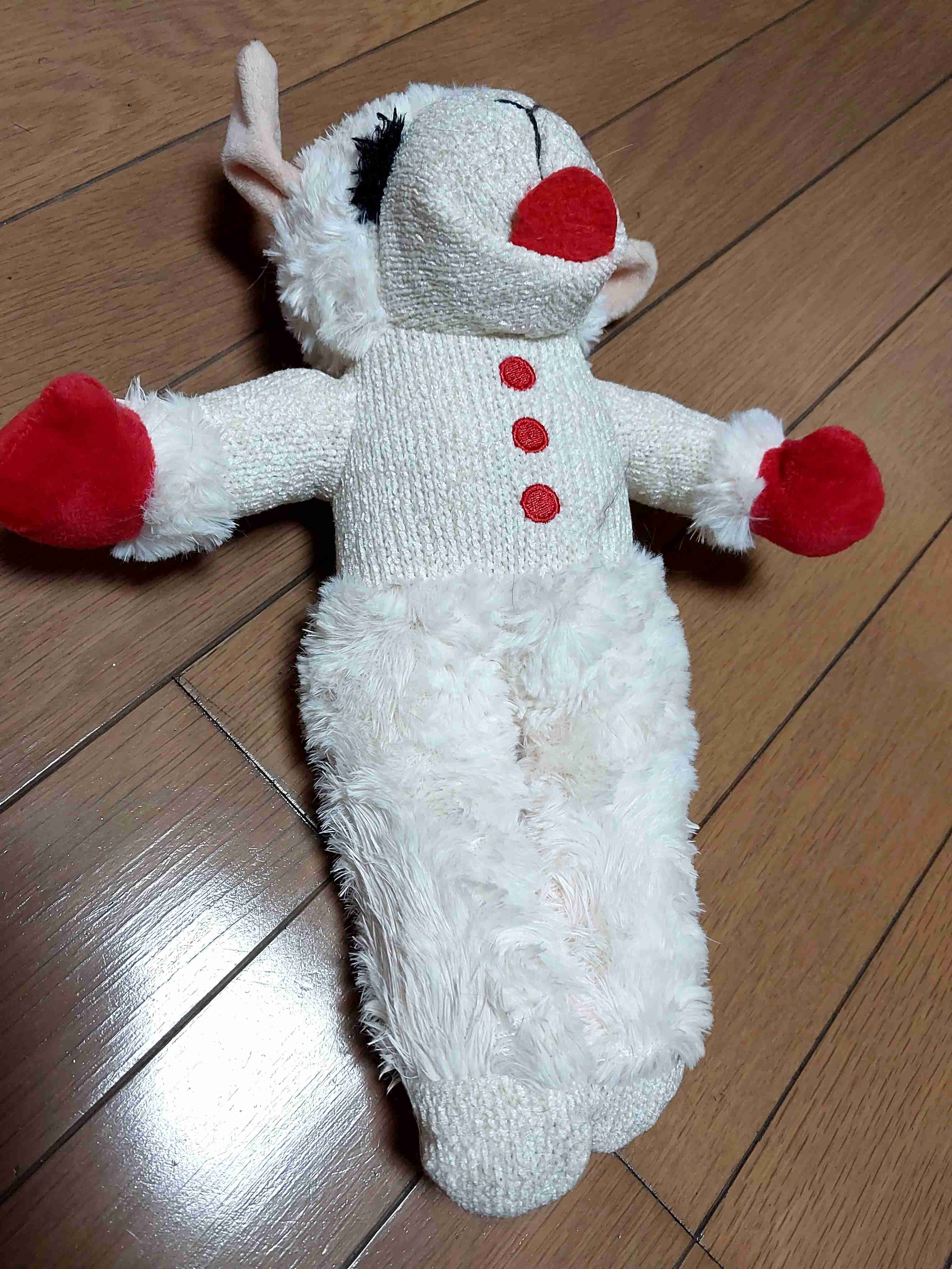 がるちゃん猫カフェ114号店開店しました♪(初めての方も大歓迎♪)
