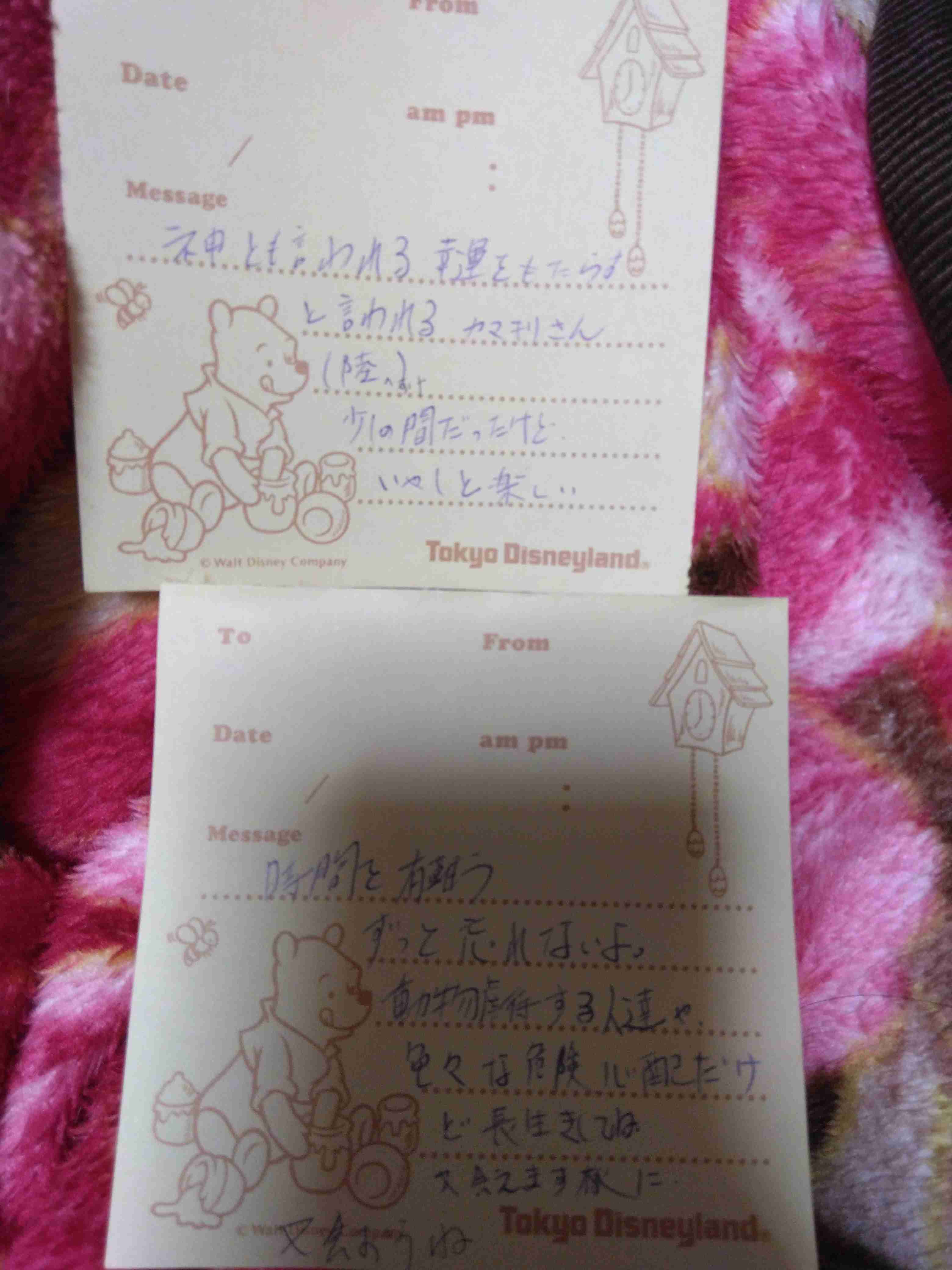がるちゃん猫カフェ114号店開店しました♪(初めての方も大歓迎♪)