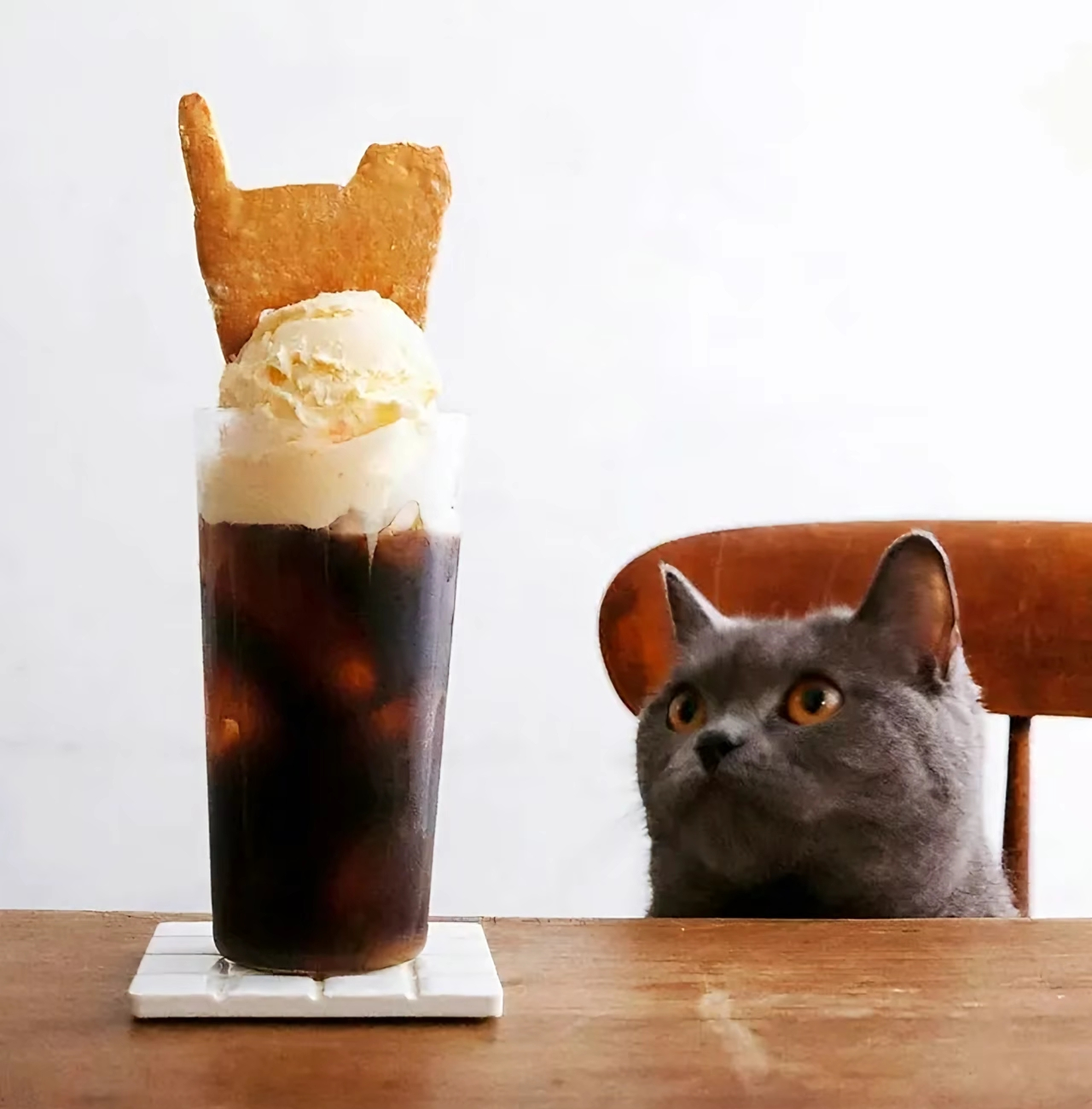がるちゃん猫カフェ114号店開店しました♪(初めての方も大歓迎♪)
