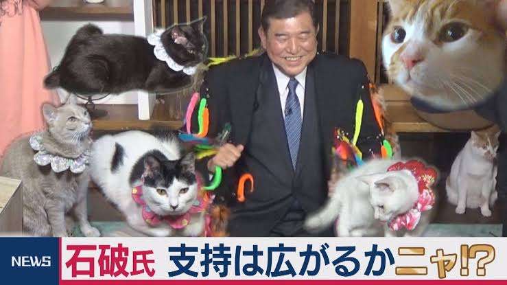 がるちゃん猫カフェ114号店開店しました♪(初めての方も大歓迎♪)