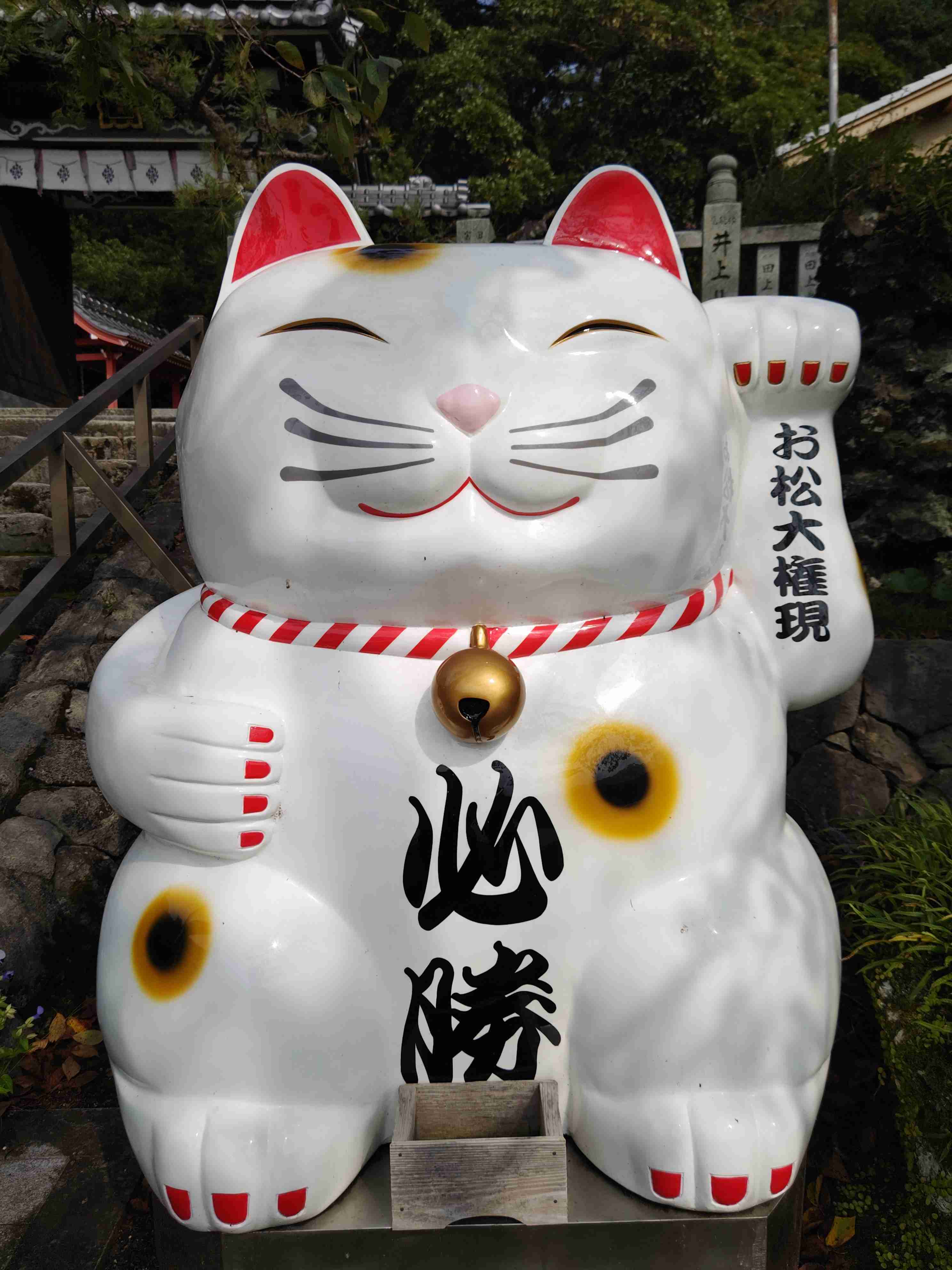がるちゃん猫カフェ114号店開店しました♪(初めての方も大歓迎♪)