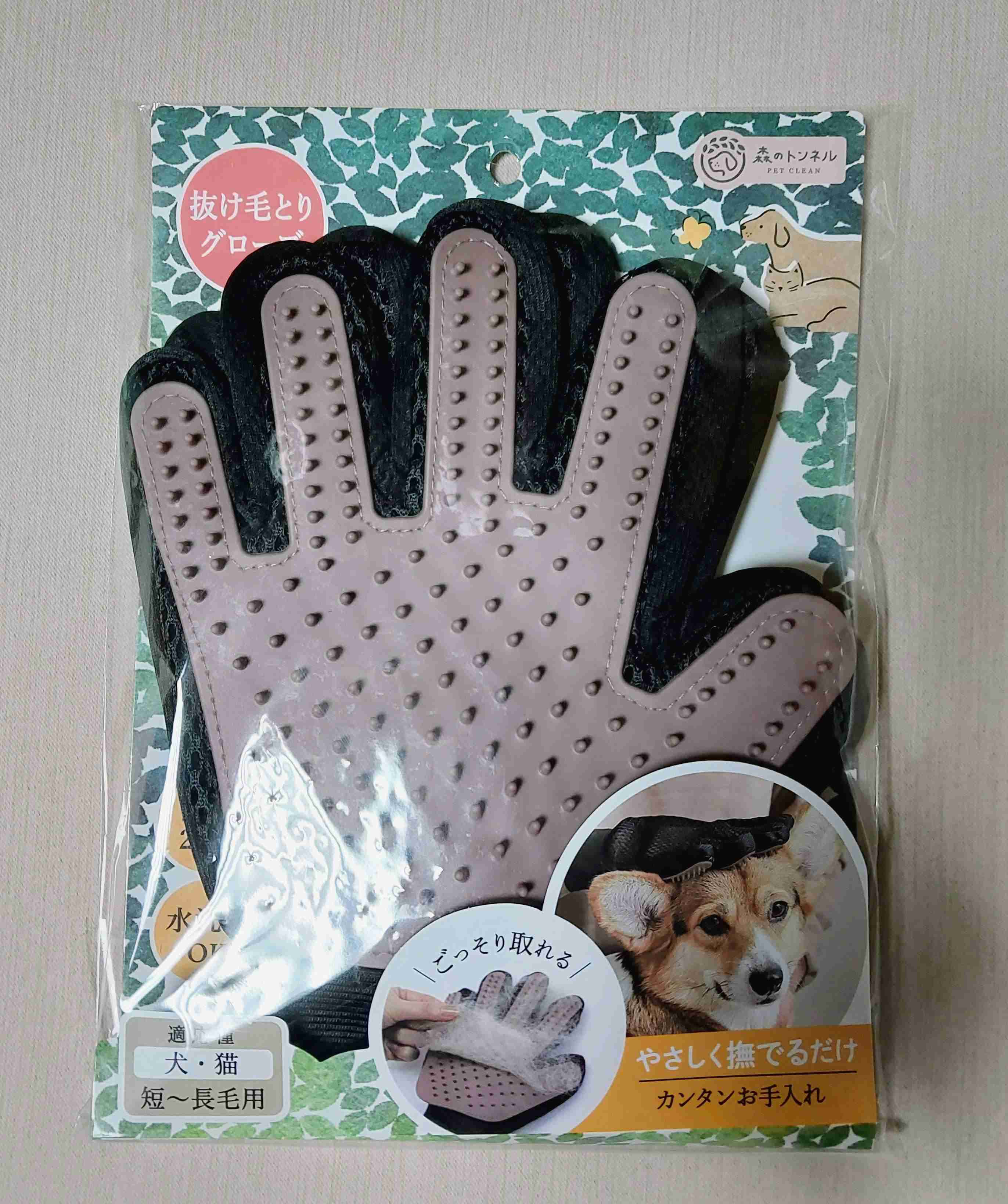 がるちゃん猫カフェ114号店開店しました♪(初めての方も大歓迎♪)