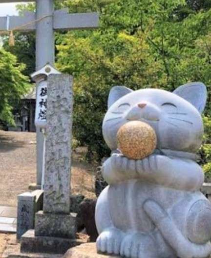 がるちゃん猫カフェ114号店開店しました♪(初めての方も大歓迎♪)